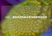 CSGO ，虚拟战场热血征程及战绩查询探秘