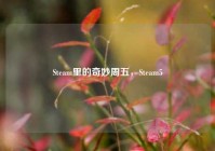 Steam里的奇妙周五，Steam5