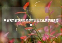 从王者荣耀英语单词探寻游戏文化的跨语言传播