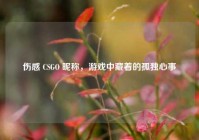 伤感 CSGO 昵称，游戏中藏着的孤独心事