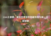 CSGO土豪榜，虚拟世界中的财富传奇与第一土豪探秘