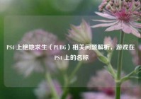 PS4 上绝地求生（PUBG）相关问题解析，游戏在 PS4 上的名称