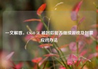 一文解惑，CSGO 5E 被封后能否继续游戏及封禁应对办法