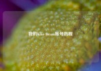 我的Kiko Steam账号历程