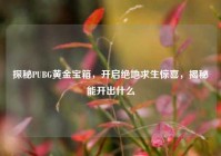 探秘PUBG黄金宝箱，开启绝地求生惊喜，揭秘能开出什么