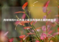 肉球球的PUBG热血之旅及肉球球去掉问题探讨