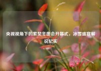 央视视角下的索契冬奥会开幕式，冰雪盛宴解说纪实