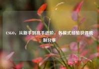 CSGO，从新手到高手进阶，各模式经验获得机制分享