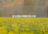 老王的和平精英科技之旅