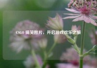 CSGO 搞笑图片，开启游戏欢乐之旅