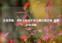 王者荣耀，用积分解锁不知火舞忍者之魅  揭秘获取攻略