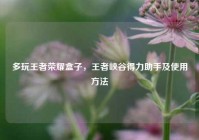 多玩王者荣耀盒子，王者峡谷得力助手及使用方法