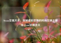 Steam交易大衣，探秘虚拟世界的时尚交换之旅及sTeam交易含义