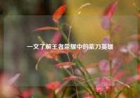 一文了解王者荣耀中的紫刀英雄