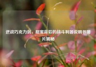 逆战巧克力剑，甜蜜背后的战斗利器说明书图片揭秘