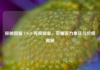探秘国服 CSGO 等级徽章，荣耀实力象征与价格揭秘