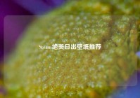 Steam绝美日出壁纸推荐