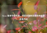 Steam 版本守望先锋，开启全新射击竞技体验及登录方法