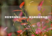 低配置电脑畅玩 COD16，最佳画面设置指南