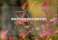 揭秘逆战翅膀等级及其背后含义