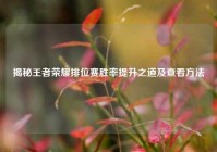 揭秘王者荣耀排位赛胜率提升之道及查看方法