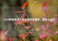 CSGO网络波动大成游戏体验噩梦，该怎么办？