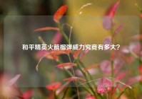 和平精英火箭榴弹威力究竟有多大？