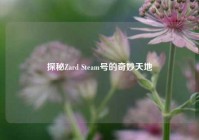 探秘Zard Steam号的奇妙天地