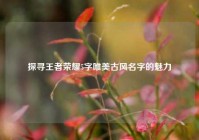 探寻王者荣耀5字唯美古风名字的魅力