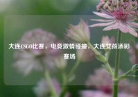 大连CSGO比赛，电竞激情碰撞，大连女孩添彩赛场
