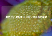追忆 CSGO 老版本 R8 左轮，经典暴力美学