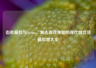街机模拟与Steam，复古游戏体验的现代融合及模拟器大全