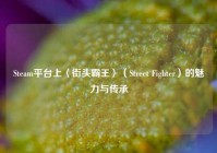 Steam平台上〈街头霸王〉（Street Fighter）的魅力与传承