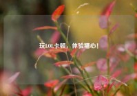 玩LOL卡顿，体验糟心！