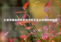 王者荣耀福利券使用攻略及无法使用问题解析