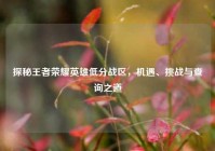 探秘王者荣耀英雄低分战区，机遇、挑战与查询之道
