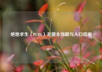 绝地求生（PUBG）充值全攻略与入口指南