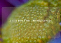 A Steam Boat: A Time - Traveling Adventure
