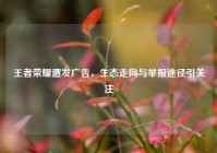 王者荣耀遭发广告，生态走向与举报途径引关注