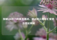 探秘LOL妖刀鳄鱼直播间，峡谷风云精彩汇聚地及地址揭秘