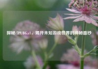 探秘 7PUBG.c1，揭开未知游戏世界的神秘面纱