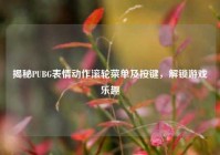 揭秘PUBG表情动作滚轮菜单及按键，解锁游戏乐趣