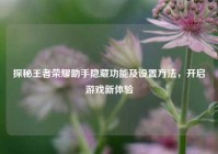 探秘王者荣耀助手隐藏功能及设置方法，开启游戏新体验