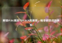 解锁PUBG端游与PUBGM高画质，畅享极致战场体验