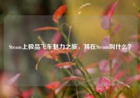 Steam上极品飞车魅力之旅，其在Steam叫什么？