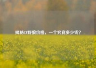 揭秘CF野狼价格，一个究竟多少钱？