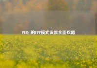 PUBG的FPP模式设置全面攻略