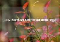 CSGO，大陀螺与小陀螺的区别及旋转竞技魅力