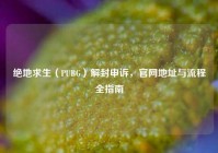 绝地求生（PUBG）解封申诉，官网地址与流程全指南