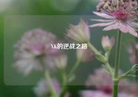 XK的逆战之路